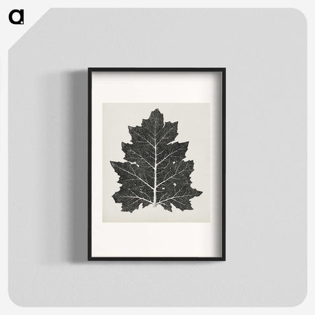 1-5_The-Grammar-of-Ornament_blk