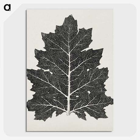 1-5_The-Grammar-of-Ornament_picture-crop