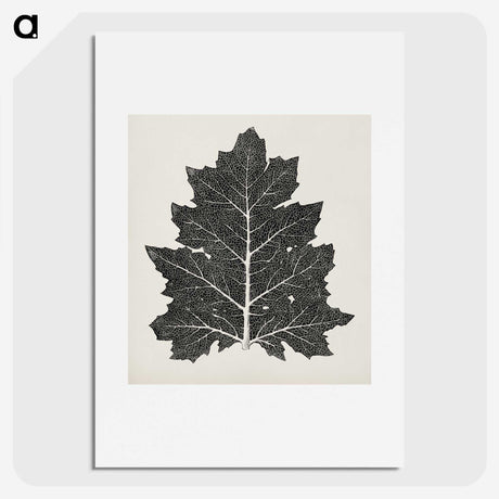 1-5_The-Grammar-of-Ornament_picture