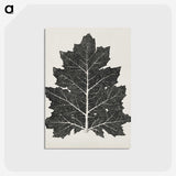 1-5_The-Grammar-of-Ornament_postcard