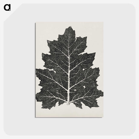 1-5_The-Grammar-of-Ornament_postcard