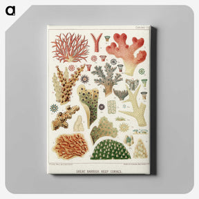 1-5_The-Great-Barrier-Reef-of-Australia_canvas