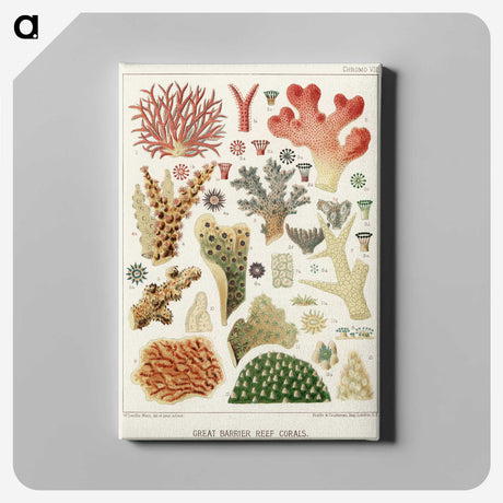 1-5_The-Great-Barrier-Reef-of-Australia_canvas