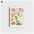1-5_The-Great-Barrier-Reef-of-Australia_memo