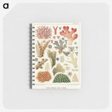 1-5_The-Great-Barrier-Reef-of-Australia_memo