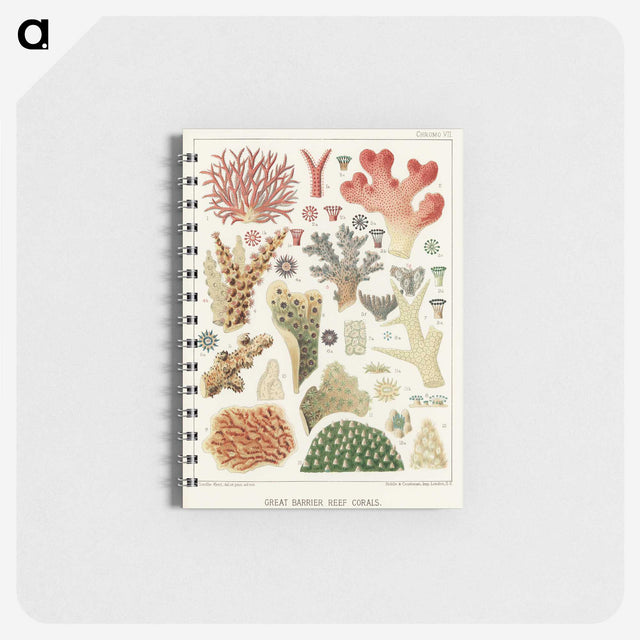 1-5_The-Great-Barrier-Reef-of-Australia_memo