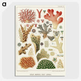 1-5_The-Great-Barrier-Reef-of-Australia_picture-crop