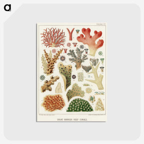 1-5_The-Great-Barrier-Reef-of-Australia_postcard