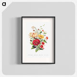 アートポスター-Scarlet Ipomoea, Honeysuckle, White Heath and Sweet Sulian
 - 花言葉 Poster.