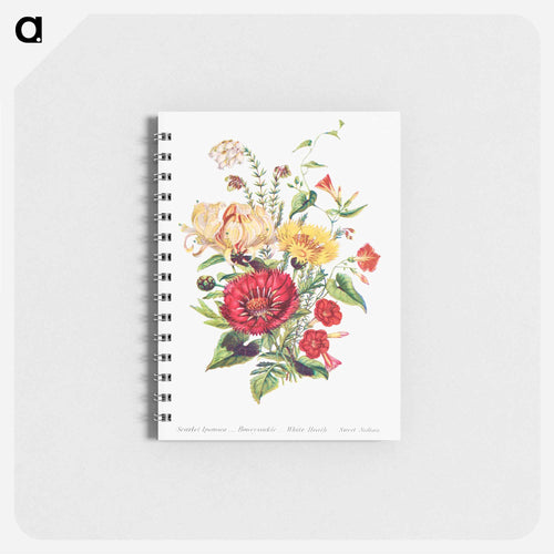 Scarlet Ipomoea, Honeysuckle, White Heath and Sweet Sulian
 - Flower Language Memo.