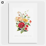 アートポスター-Scarlet Ipomoea, Honeysuckle, White Heath and Sweet Sulian
 - 花言葉 Poster.