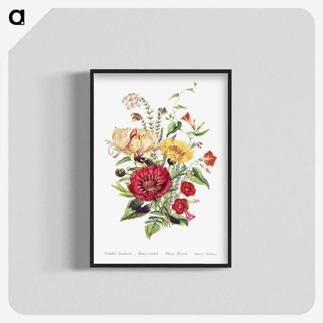 1-5_The-Language-of-Flowers_blk-crop