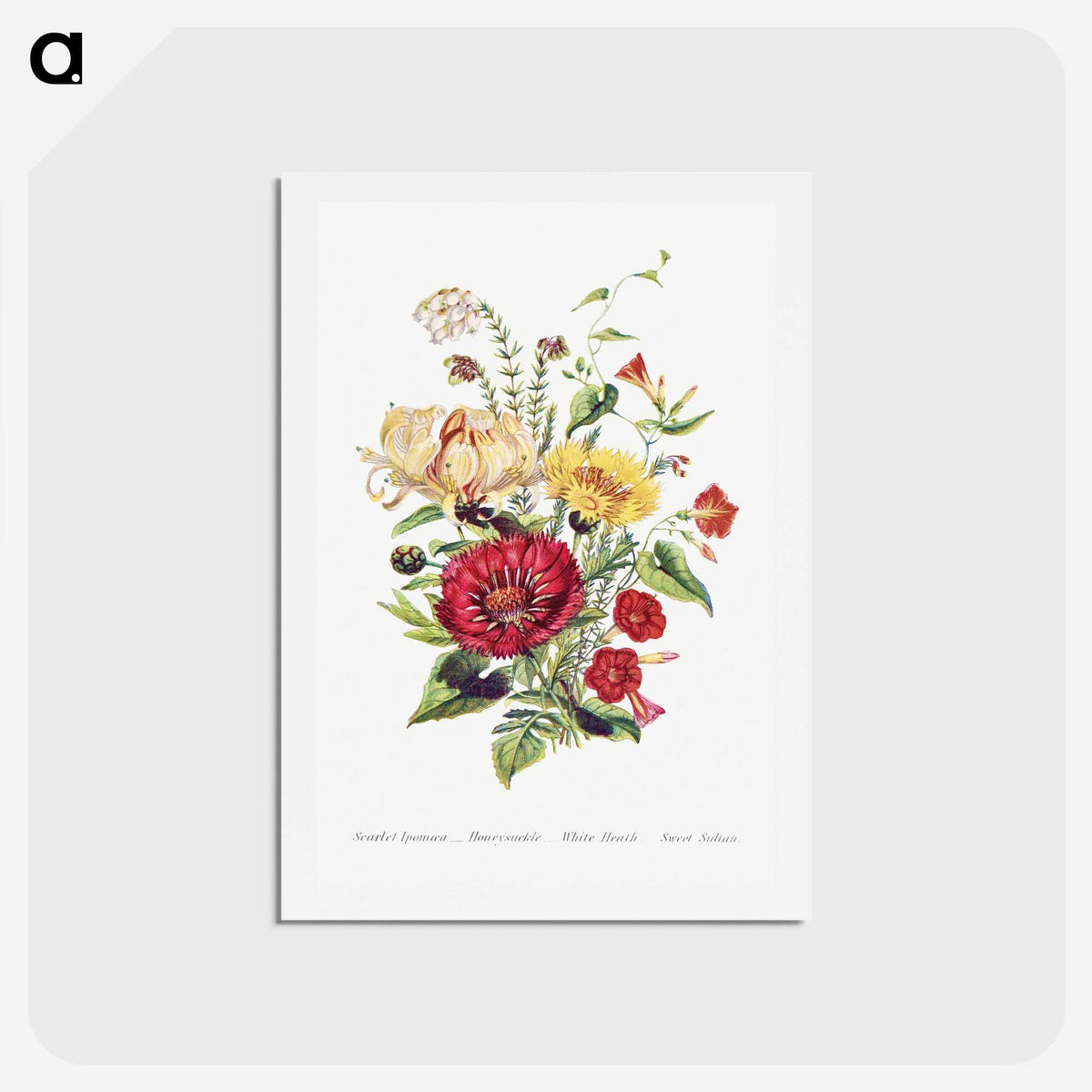 1-5_The-Language-of-Flowers_hagaki