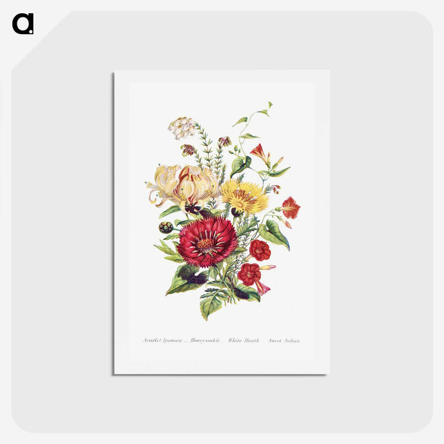 1-5_The-Language-of-Flowers_hagaki