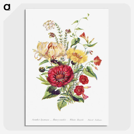 1-5_The-Language-of-Flowers_picture-crop