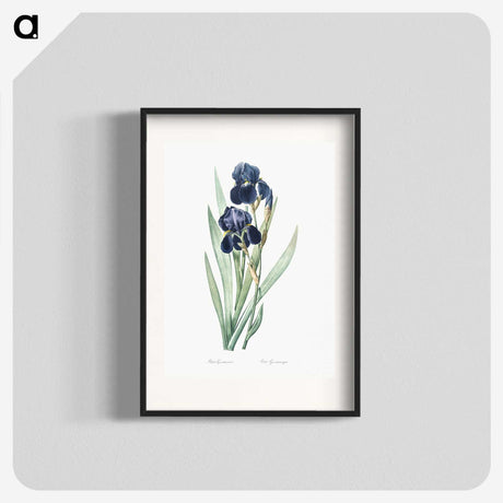 1-5_The-Lilies_blk