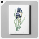 1-5_The-Lilies_canvas