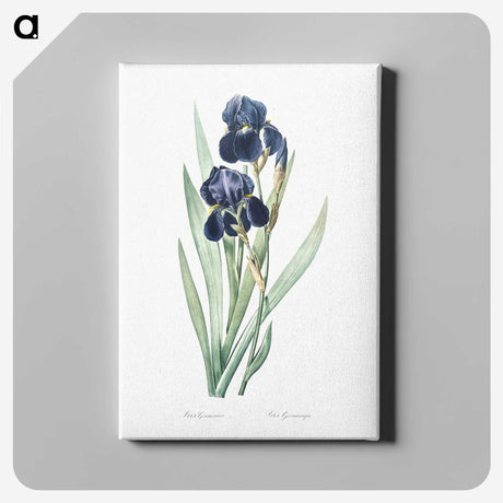 1-5_The-Lilies_canvas