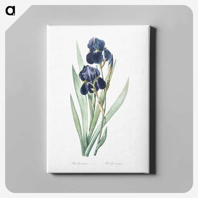 1-5_The-Lilies_canvas