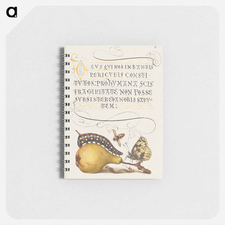 アートメモ帳-Fly, Caterpillar, Pear, and Centipede from Mira Calligraphiae Monumenta
 - 書道のお手本 Memo.