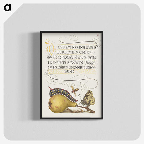1-5_The-Model-Book-of-Calligraphy_blk-crop