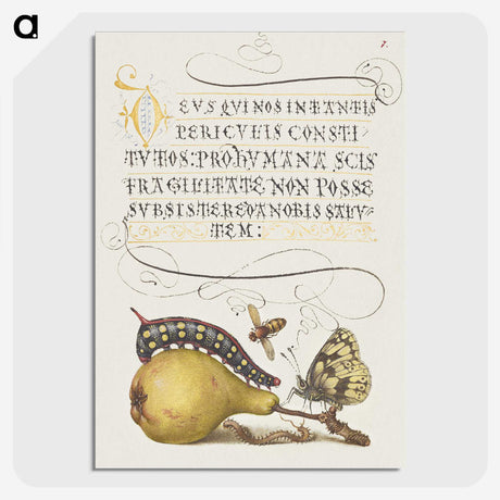 1-5_The-Model-Book-of-Calligraphy_picture-crop
