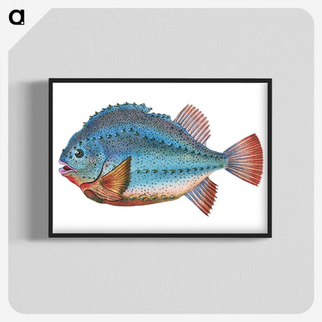 1-5_The-Natural-History-of-British-Fishes_blk-crop