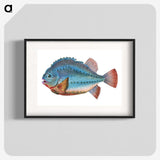 1-5_The-Natural-History-of-British-Fishes_blk