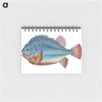 1-5_The-Natural-History-of-British-Fishes_memo