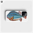 1-5_The-Natural-History-of-British-Fishes_phone