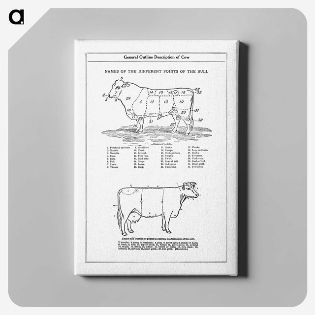 1-5_The-Open-Door-to-Independence_canvas