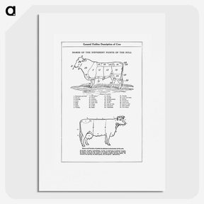 1-5_The-Open-Door-to-Independence_picture