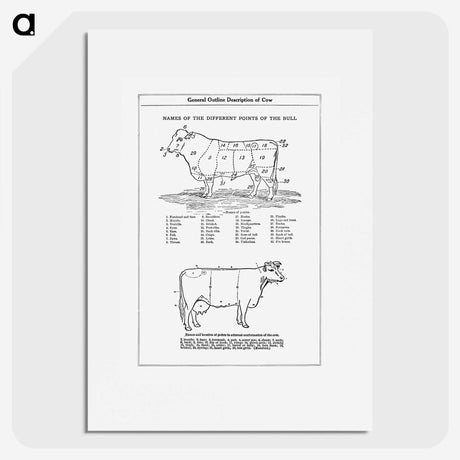 1-5_The-Open-Door-to-Independence_picture