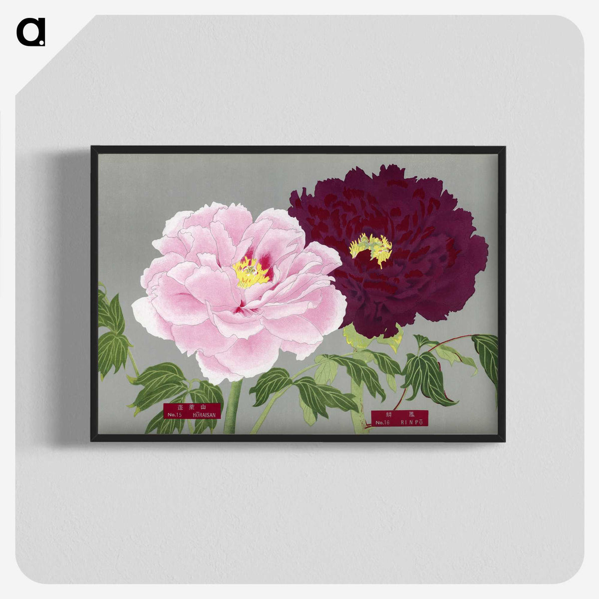 1-5_The-Picture-Book-of-Peonies_blk-crop