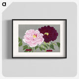 1-5_The-Picture-Book-of-Peonies_blk