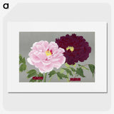 1-5_The-Picture-Book-of-Peonies_picture