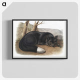 1-5_The-Viviparous-Quadrupeds_blk-crop