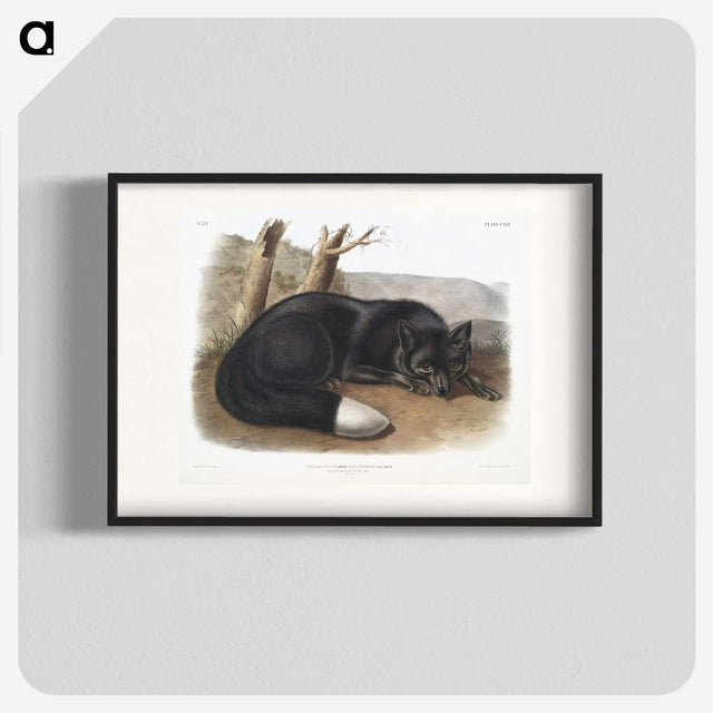 1-5_The-Viviparous-Quadrupeds_blk