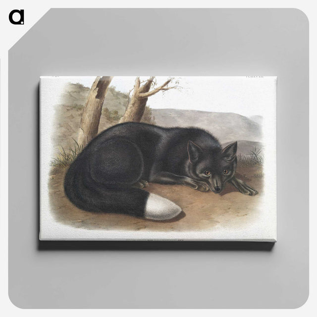 1-5_The-Viviparous-Quadrupeds_canvas