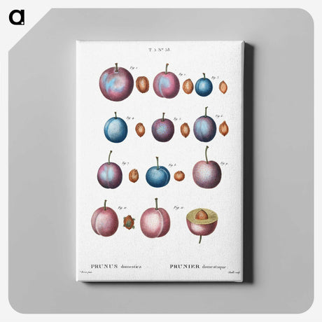 1-5_Treatise-on-Trees-and-Shrubs_canvas
