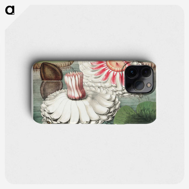 1-5_Victoria-Regia_phone