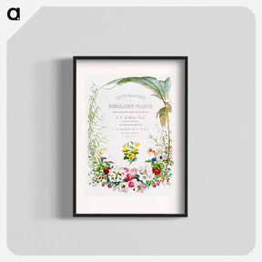 アートポスター-Title page from Illustrations of Himalayan plants - ウォルター フッド フィッチ Poster.