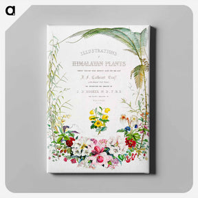 アートパネル-Title page from Illustrations of Himalayan plants - ウォルター フッド フィッチ Canvas.