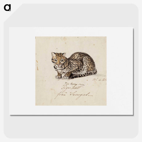 1-5_Wilhelm-von-Wright_picture