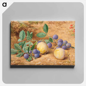 アートパネル-Plums - ウィリアム ヘンリー ハント Canvas.