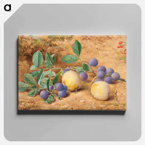 Plums - ウィリアム ヘンリー ハント Canvas.