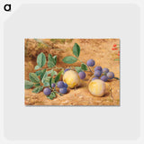 アートポストカード-Plums - ウィリアム ヘンリー ハント Postcard.