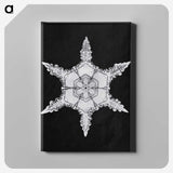 1-5_Wilson-Bentley_canvas