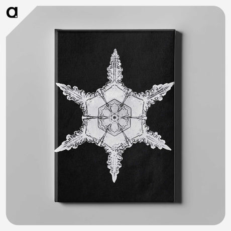 1-5_Wilson-Bentley_canvas