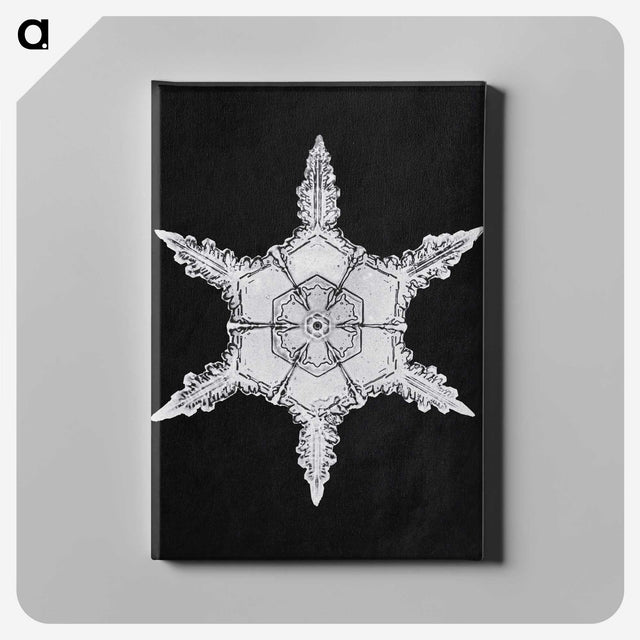1-5_Wilson-Bentley_canvas